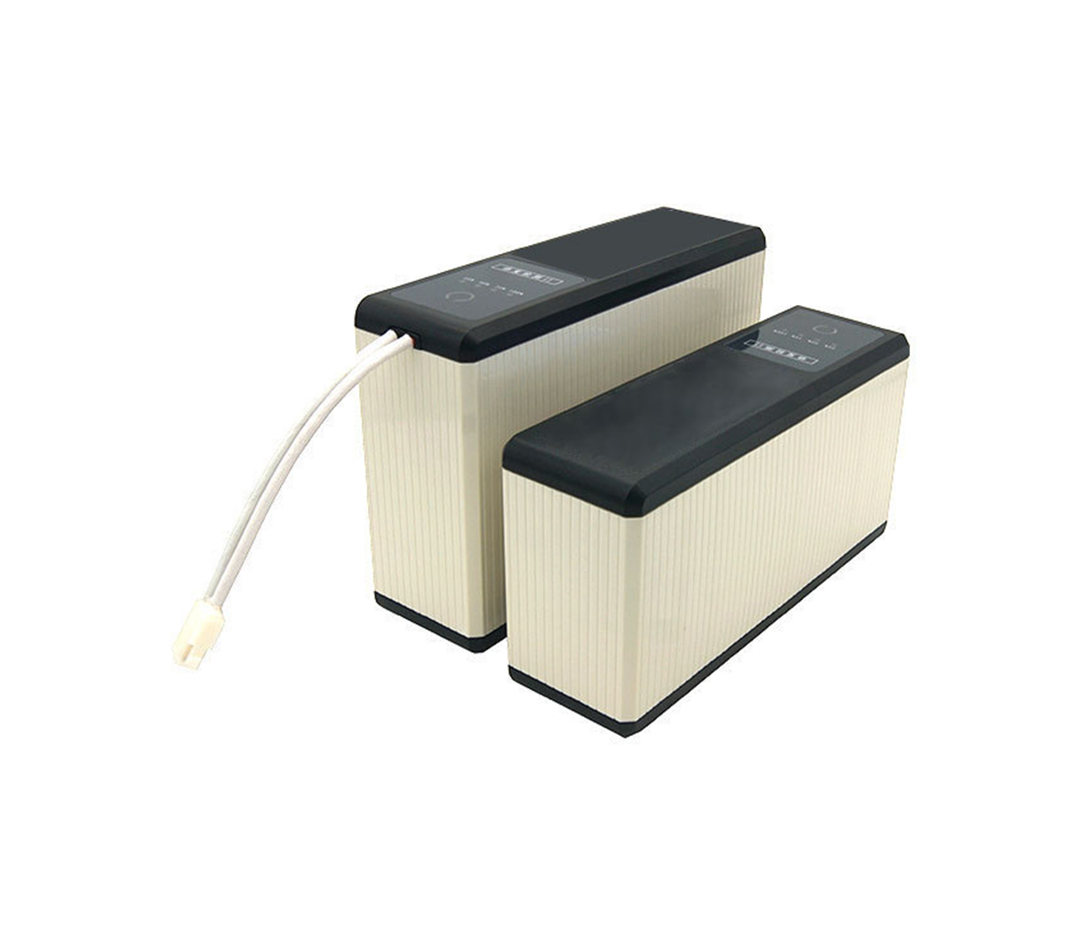 INR48V 20Ah Consumer Electric/