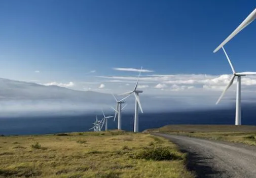 Can renewable energy stabilize and support the grid? Hawaiian got the answer